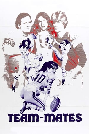 Poster Team-Mates (1978)
