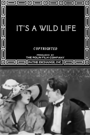 Poster It's a Wild Life (1918)