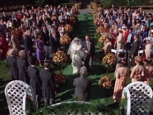 Quincy, M.E. Quincy's Wedding (2)