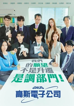 Image 高斯电子公司