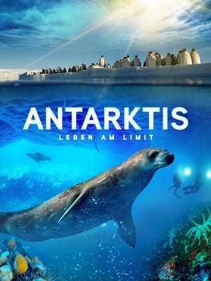 Image Antarktis - Leben am Limit