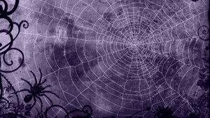 The Amazing Spider-Man