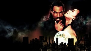 Vampire in Brooklyn 1995