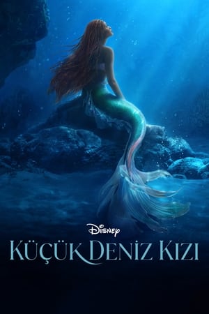 Poster Küçük Deniz Kızı 2023