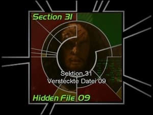 Image Section 31: Hidden File 09 (S05)