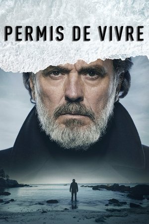 Permis de vivre movie poster