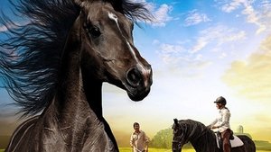 The Dark Horse film complet