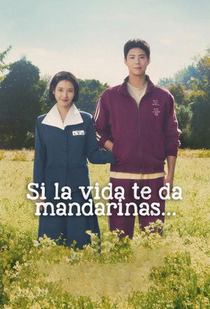 Si la vida te da mandarinas...: Miniserie