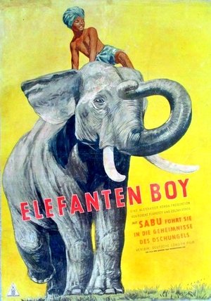 Image Elefanten-Boy