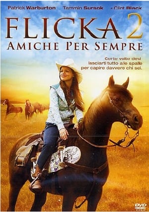 Poster Flicka 2 - Amiche per sempre 2010