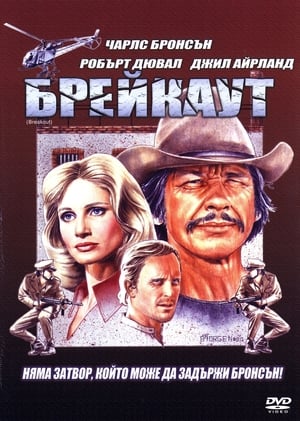 Poster Брейкаут 1975