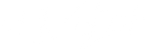 나로살다