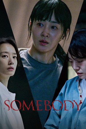 Somebody 17