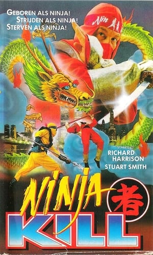 Ninja Kill poster