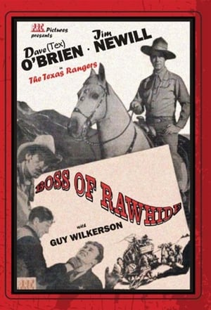 Boss of Rawhide poster