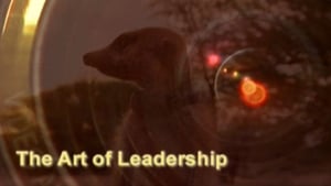 Meerkat Manor The Art of Leadership