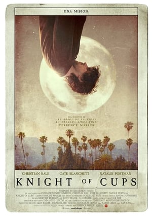 pelicula Knight of Cups (2015)