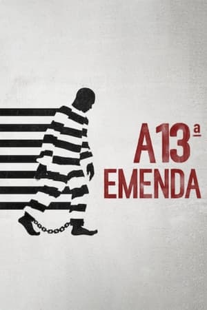 A 13ª Emenda (2016)