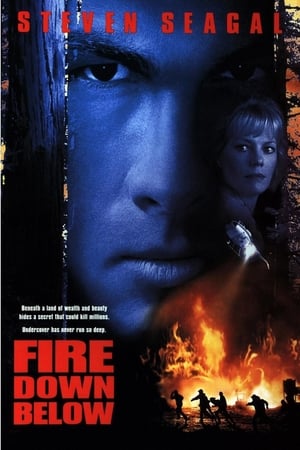 Poster Fire Down Below 1997