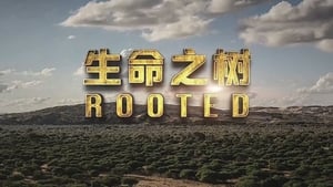 poster Rooted