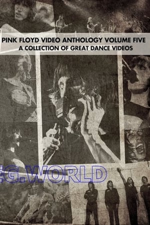 Poster Pink Floyd:  Video Anthology Vol. 5 (2004)