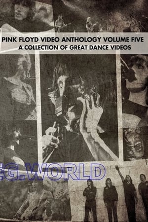 Poster Pink Floyd:  Video Anthology Vol. 5 2004