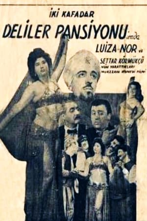 Poster İki Kafadar Deliler Pansiyonunda (1952)