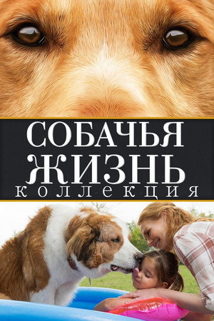 Собачья жизнь