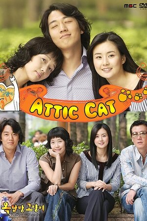 Image Attic Cat