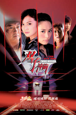 Poster 双子神偷 2007