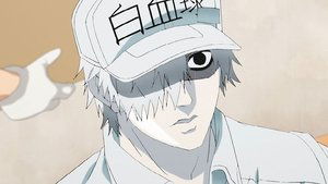 Cells at Work!: 1×12