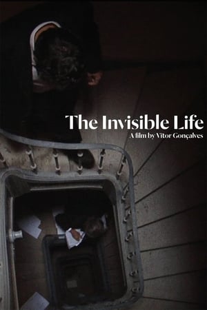 Poster The Invisible Life (2013)