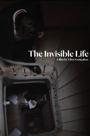 The Invisible Life poster