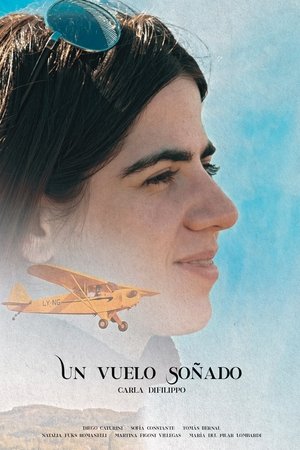 Un Vuelo Soñado