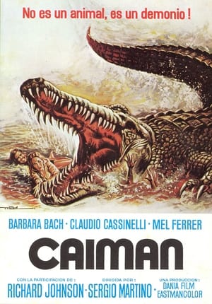 Caimán 1979