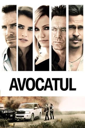 Poster Avocatul 2013