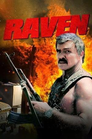 Poster Raven (1996)