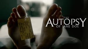 The Autopsy of Jane Doe (2016)