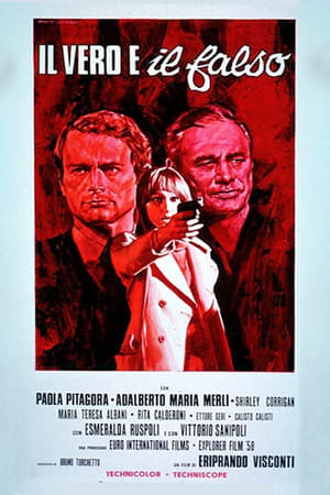 The Hassled Hooker poster