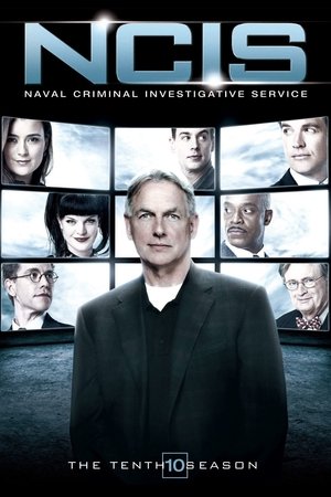 NCIS: Sæson 10