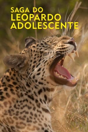 Image Diary of a Teen Leopard