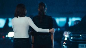 Petrichor ( 2024 )