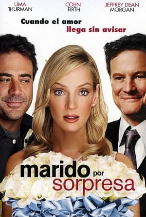 Poster Marido por sorpresa 2008