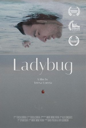 Nonton film Ladybug (2022) terbaru sub indo Nonton film Ladybug (2022) terbaru sub indo
