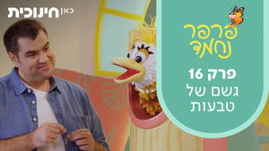 Coin rain | StreamHub