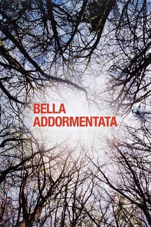 Bella addormentata Film