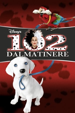 102 Dalmatinere 2000