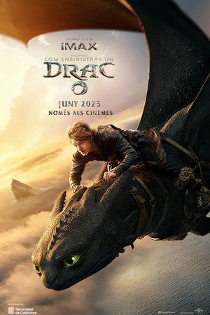 poster How to Train Your Dragon