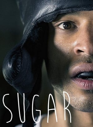 Poster Sugar 2017