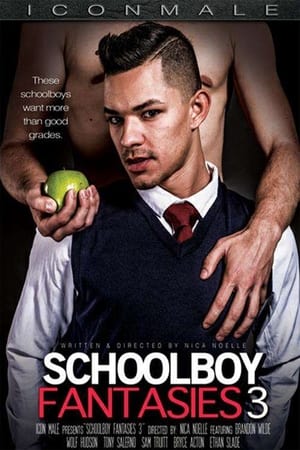 Poster Schoolboy Fantasies 3 2015